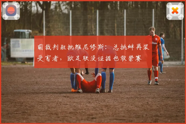 前裁判狂批维尼修斯：总挑衅再装受害者，欧足联没证据也敢禁赛