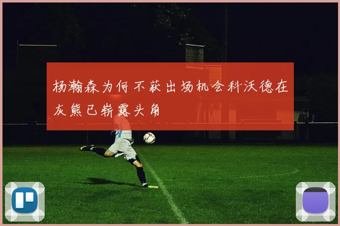 杨瀚森为何不获出场机会科沃德在灰熊已崭露头角