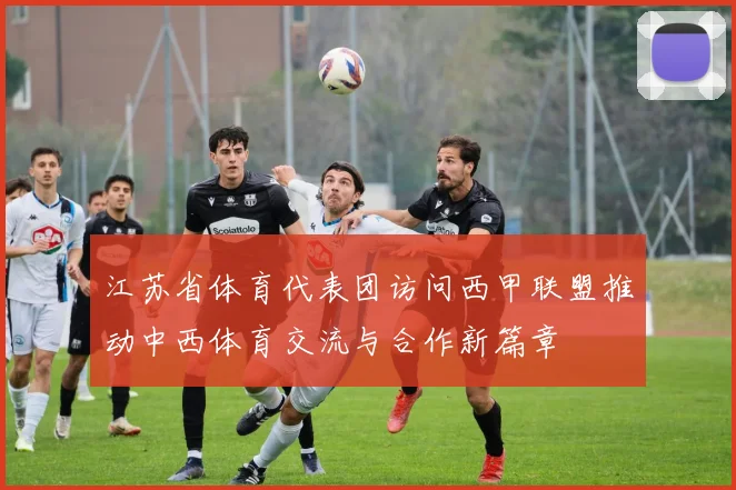 江苏省体育代表团访问西甲联盟推动中西体育交流与合作新篇章