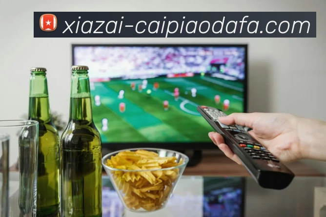 大发彩票发展历程